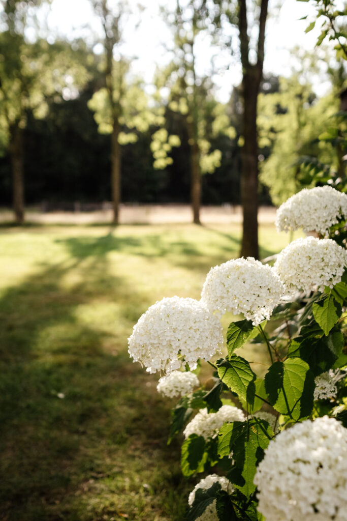 Trouwen bij Hoeve Sparrendam - Marieke van Dijk Fotografie