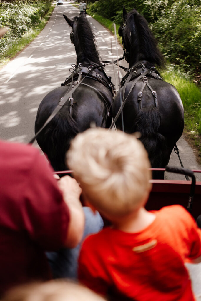 Familie bij huifkar met Friese paarden grote familieshoot Voorthuizen Gelderland — Marieke van Dijk Fotografie
